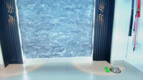Samantha online show from January 24, 1:57 pm