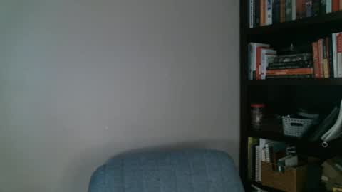 shamelesswetdream online show from February 24, 1:35 am