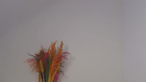 Snapshot of skyy_brown chatting on February 5, 8:32 am Bella online show from February 5, 8:32 am
