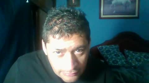 Fabio Canavaro online show from January 23, 2:23 am