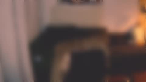 Little Devil online show from December 7, 3:03 pm