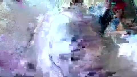 Snapshot of wildnastycum4u chatting on September 11, 5:52 am wildnastycum4u online show from September 11, 5:52 am