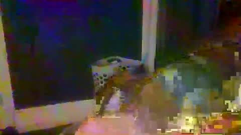 woperator3 online show from January 9, 1:50 am