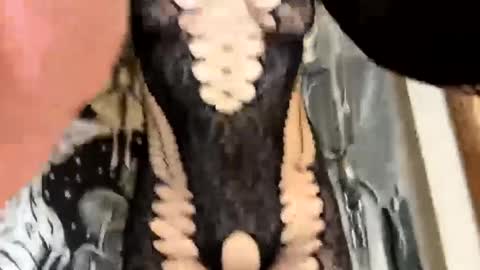 YourPrettyLittleCumSlut online show from February 22, 3:34 am